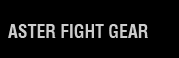 Fighting Gear